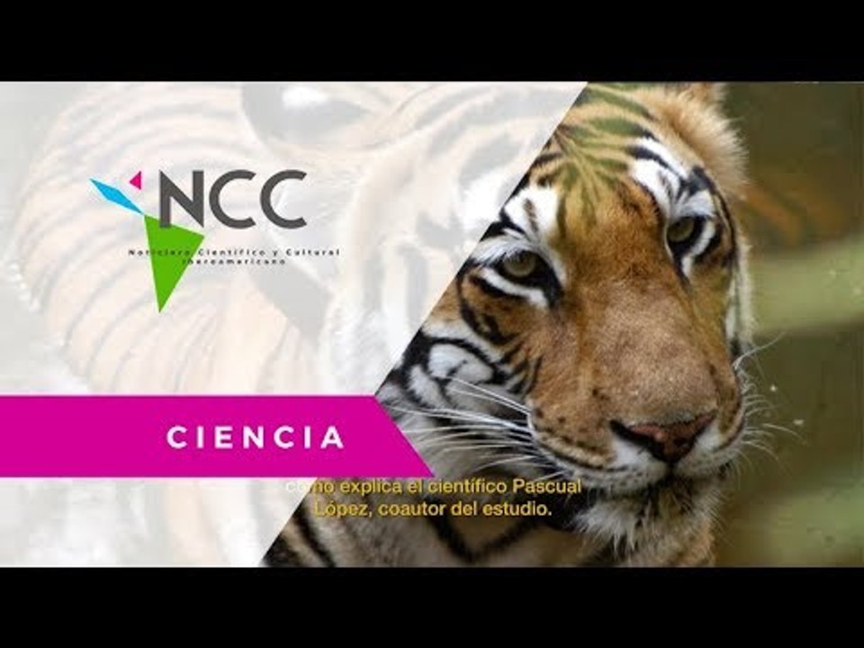 Asentamientos humanos limitan el movimiento de especies