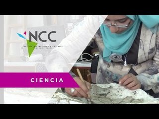 Fósiles de dinosaurio evidencían posible conexión por tierra entre África y Europa