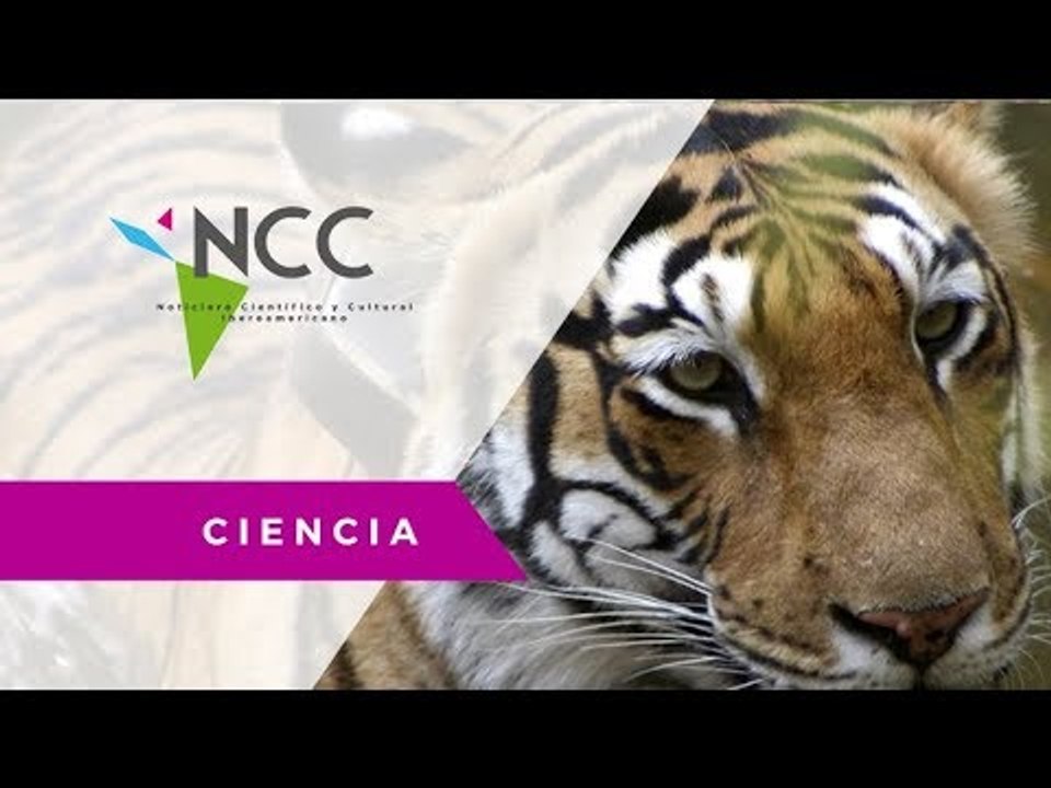 Asentamientos humanos limitan el movimiento de especies