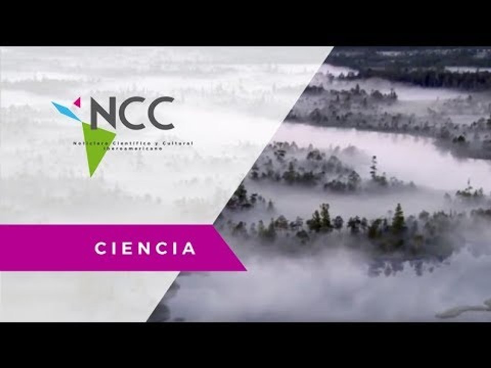 ONU invita a crear conciencia común frente a problemas medioambientales
