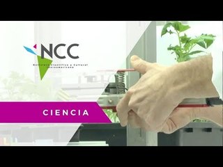 Insecticidas amables contra la araña roja