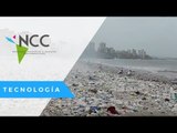 Contra el plástico: por minuto se consumen diez millones de bolsas