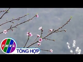 THVL | Chào buổi sáng (17/02/2019)