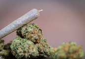 Congress Introduces National Marijuana Regulation Bill