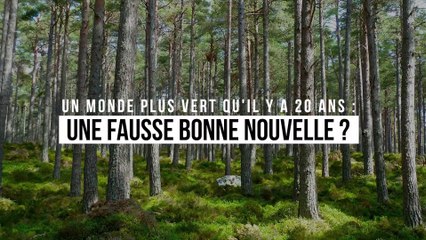 La Terre est bien plus verte qu'elle ne l'était il y a 20 ans… mais il ne faut pas se laisser avoir