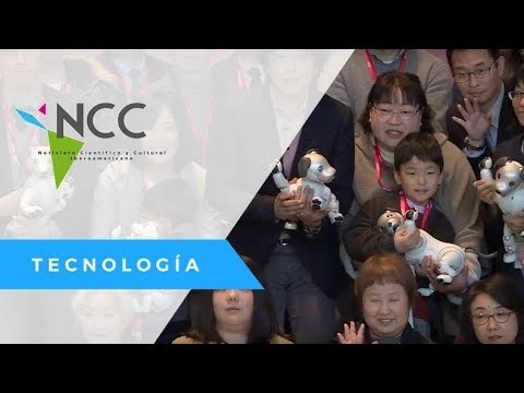 Aibo, el perro Robot listo para ser fiel guardian