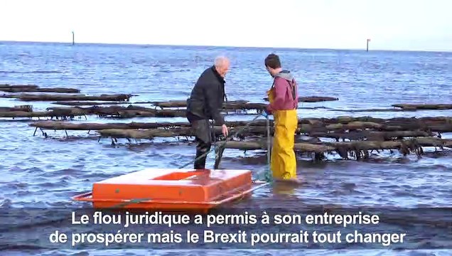Brexit: la complainte d'un ostréiculteur nord-irlandais