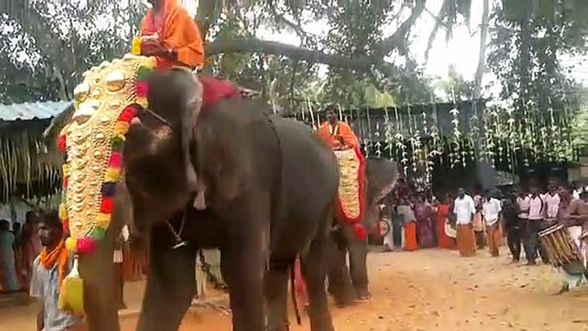 Elephant attack in Kerala Temple festival - video Dailymotion