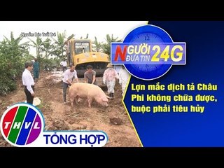THVL | Người đưa tin 24G (18g30 ngày 21/02/2019)