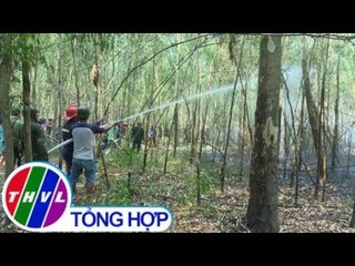 THVL | Đốt đồng cháy rừng phòng hộ tại Đồng Tháp
