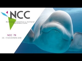 Noticiero Científico y Cultural Iberoamericano, emisión 79. 05 al 11 de noviembre de 2018.