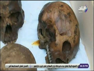 حقائق واسرار - محافظ الاسكندرية: مومياوات تابوت الإسكندرية كانت لعسكريين و ماتوا دفاعا عن الوطن