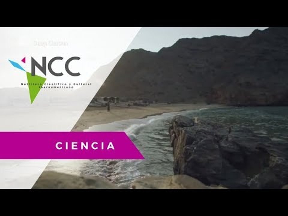 Bacterias zombis bajo la tierra