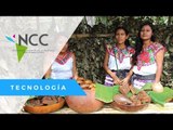 Cultivos de café amables con el clima