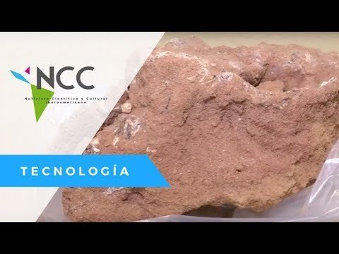 Genealogía de un cementerio de esclavos