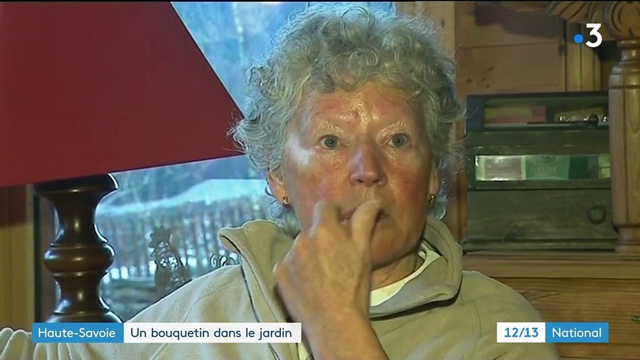 Haute-Savoie : un bouquetin dans le jardin