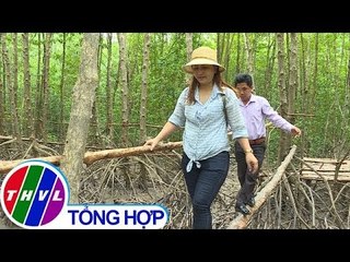 THVL | Nhịp sống đồng bằng: Thăm rừng Đất Mũi