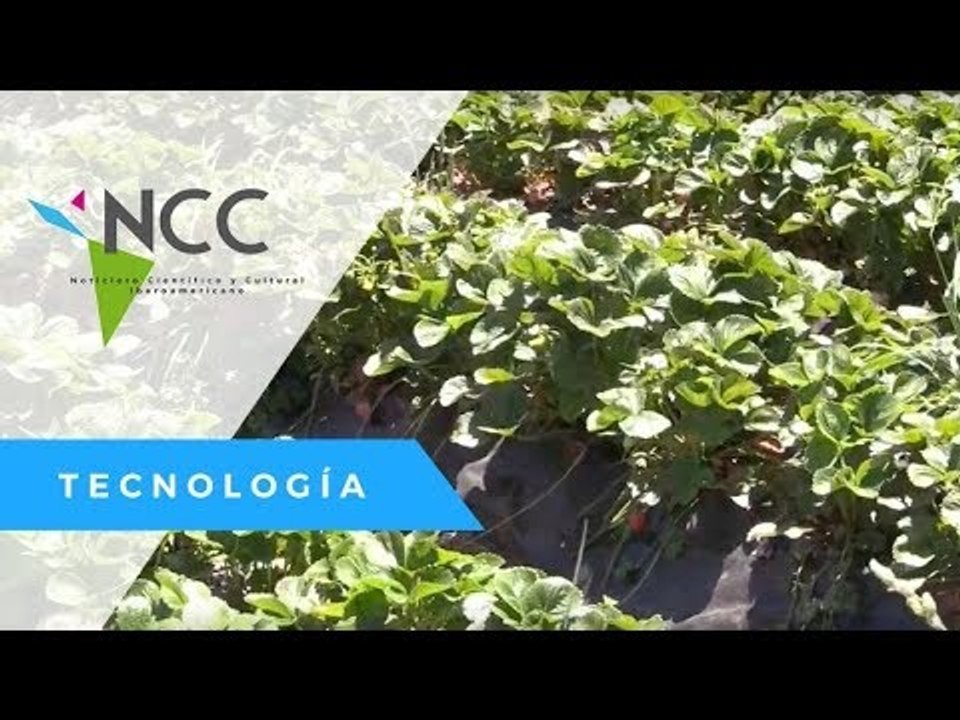 Un huerto interactivo educa a consumidores