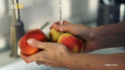 The Ins And Outs Of Extending The Shelf Life Of Produce