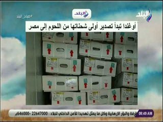 صباح البلد - أوغندا تبدأ تصدير أولى شحناتها من اللحوم إلى مصر