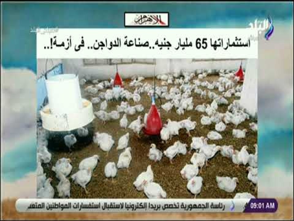 صباح البلد - استثماراتها 65 مليار جنيه..  صناعة...