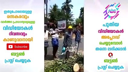 തണലായി നിന്ന മരം വെട്ടിമുറിച്ചപ്പോൾ സംഭവിച്ചത് കണ്ടോ അമ്പരന്ന് നാട്ടുകാർ