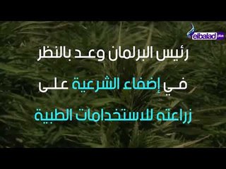 تقنين زراعة الحشيش في لبنان!!