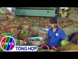 THVL | Chuyên đề kinh tế: Thị trường nông sản Tết