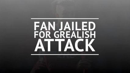 Birmingham fan jailed for pitch attack on Grealish