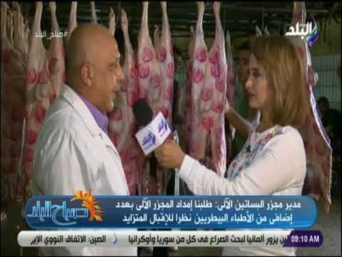 صباح البلد - استعدادات مجزر البساتين الآلي للعيد