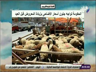صباح البلد - الحكومة تواجه جنون أسعار الأضاحى بزيادة المعروض قبل العيد