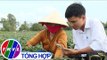 THVL | Nông nghiệp bền vững: Nông dân Vĩnh Long vào cuộc với công nghệ số