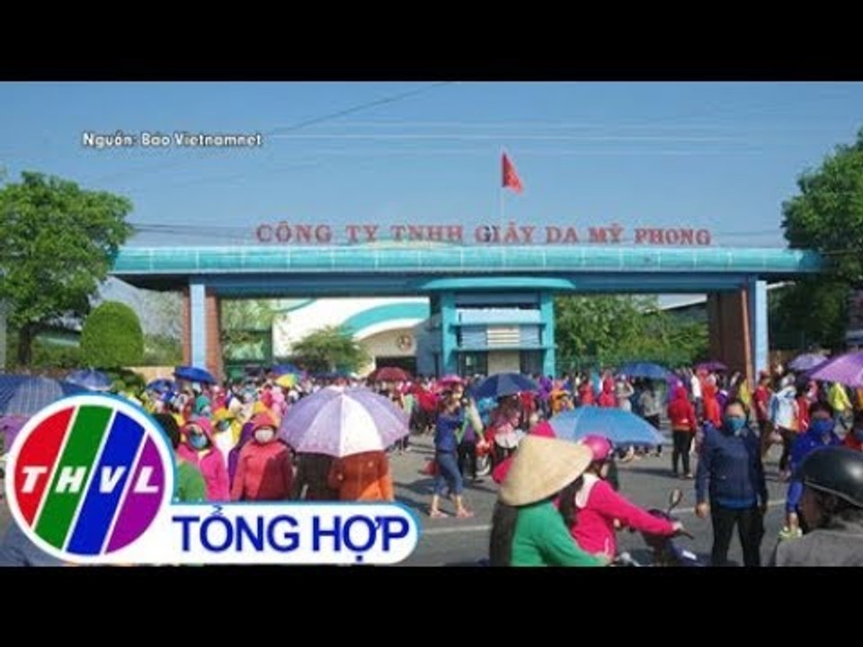 THVL | Nguyên nhân khiến hơn 10.000 người ở Trà Vinh mất việc ngày cận Tết