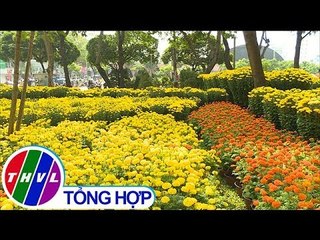 THVL | Chào buổi sáng (01/02/2019)