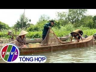 THVL | Ký sự truyền hình: Dỡ chà ăn Tết