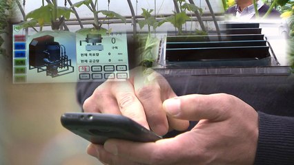 농업도 스마트 팜이 대세...자동화 넘어 정밀관리 / YTN