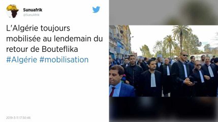 Algérie. Bouteflika renonce à briguer un cinquième mandat