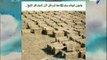 صباح البلد - «شؤون البيئة» يسلم 93 معدة فرم قش الأرز لشباب كفر الشيخ