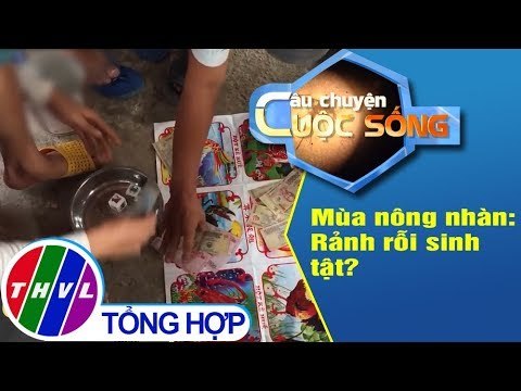 THVL | Mùa nông nhàn: Rảnh rỗi sinh tật?