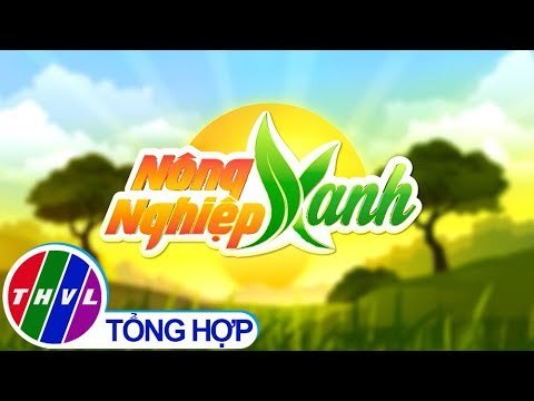 THVL | Nông nghiệp xanh - Kỳ 2: Quản lý dịch hại tổng hợp trong đất vườn