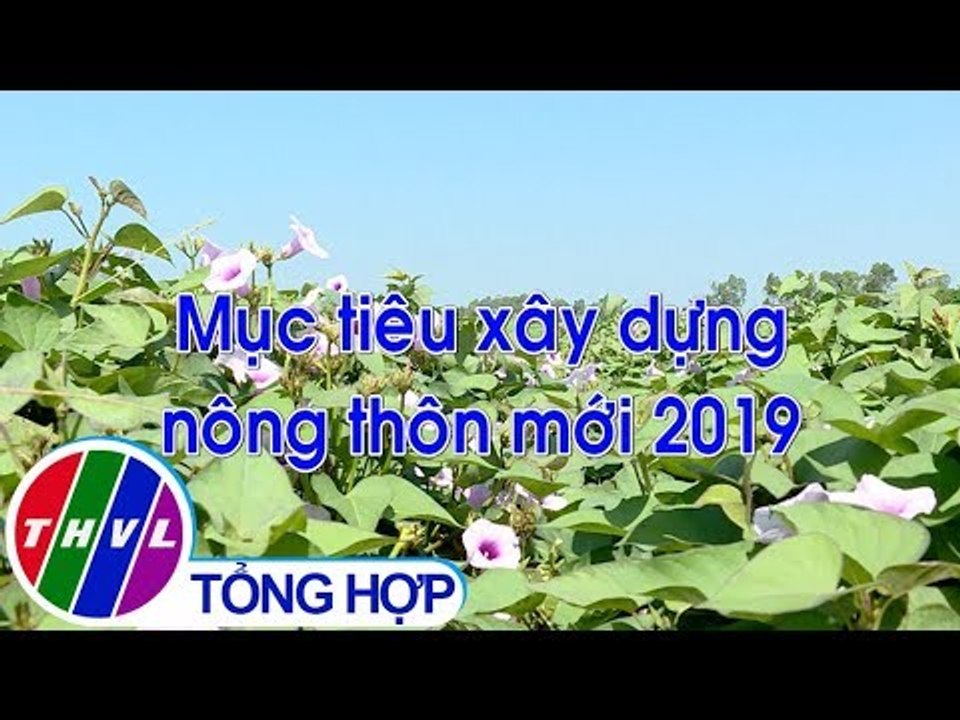 THVL | Nông thôn ngày nay: Mục tiêu xây dựng nông thôn mới 2019