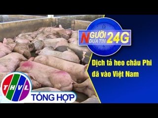 THVL | Người đưa tin 24G (6g30 ngày 20/02/2019)