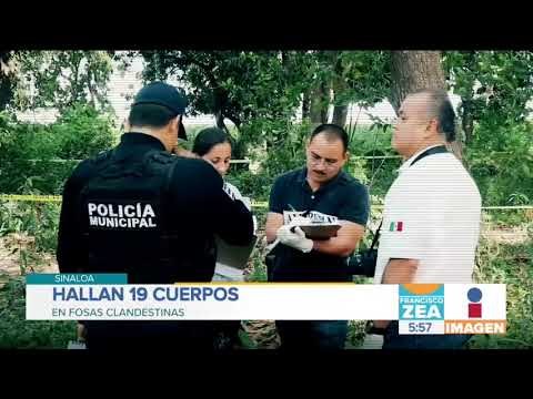 Colectivos hallan 19 cuerpos en fosas clandestinas de Sinaloa | Noticias con Francisco Zea