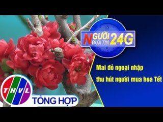 THVL | Người đưa tin 24G (11g ngày 31/01/2019)