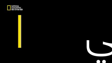 البرية 24:جموح النيل