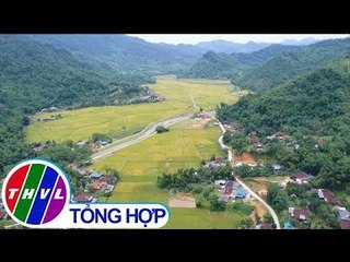 THVL | Chào buổi sáng (14/02/2019)