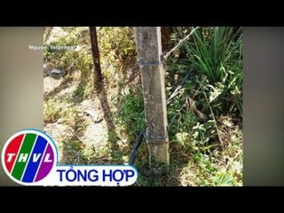 THVL | Đi qua hàng rào nhiễm điện, 2 vợ chồng ở Bình Định thiệt mạng