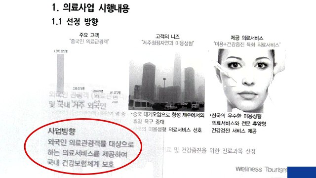 '알맹이' 없는 녹지병원 사업계획서 공개 / YTN