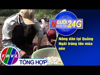 THVL | Người đưa tin 24G (18g30 ngày 23/02/2019)