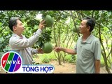 THVL | Nông thôn ngày nay: Vai trò của cấp ủy trong xây dựng nông thôn mới